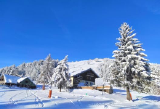 Gaschney 360景点图片