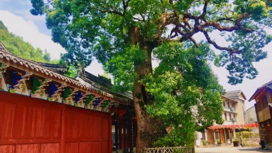 黃巖柔川景區-太尉殿