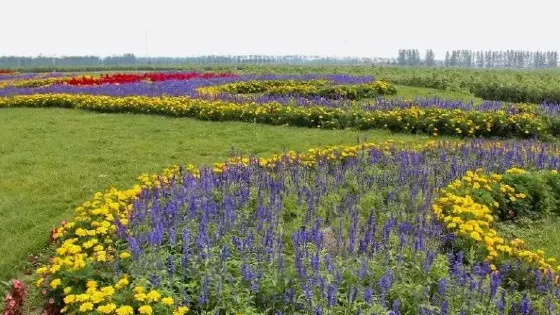 燈塔迷宮花園