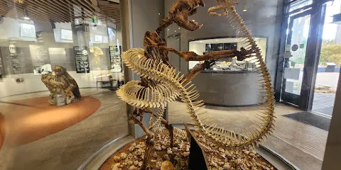 納拉寇特洞穴國家公園