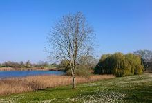 Parc Léonard de Vinci景点图片