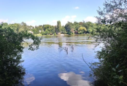 Ganuchaud Botanical Garden景点图片