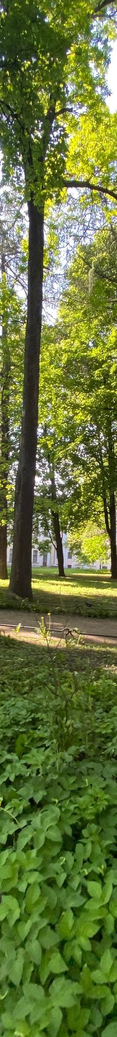 安娜·阿赫玛托娃博物馆-圣彼得堡