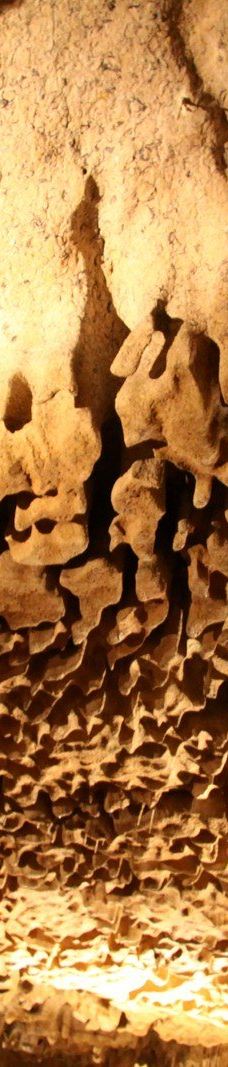 Grottes de Betharram-圣佩德比戈尔