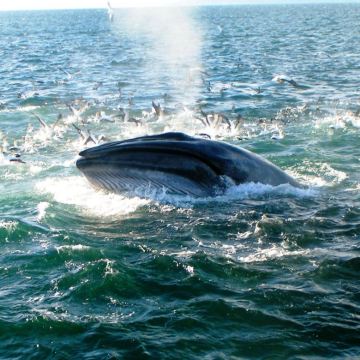 新西兰+奥克兰4日2晚私家团