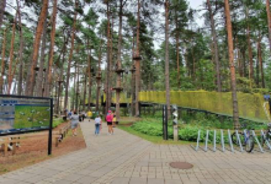 Dzintari Forest Park景点图片