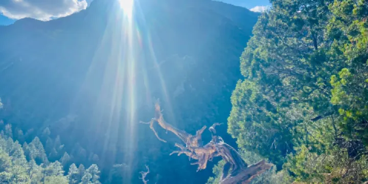 The Nature Conservancys Ramsey Canyon Preserve