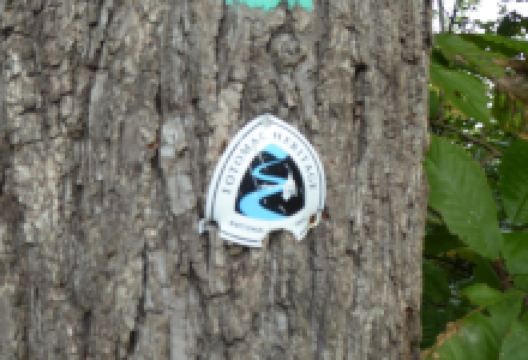 Elizabeth Mills Riverfront Park and Kephart Bridge Landing景点图片