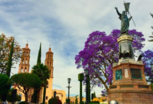 Calle Puebla景点图片
