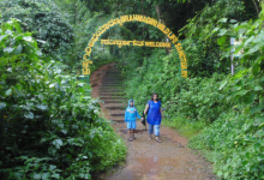 Brahmagiri Hill景点图片