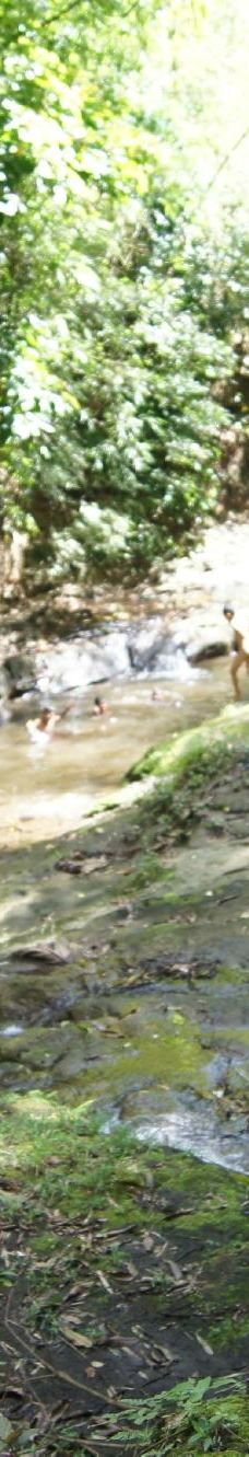 Ilog Maria Honeybee Farm-锡朗