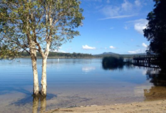 Ewen Maddock Dam景点图片