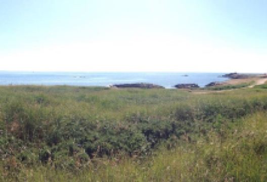 Barre d'Etel景点图片