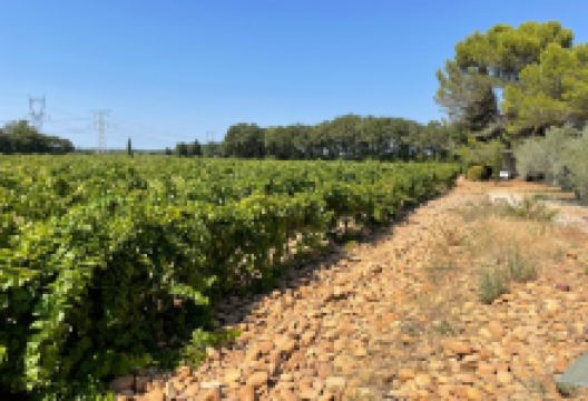 Museum of the Moto et du Velo景点图片