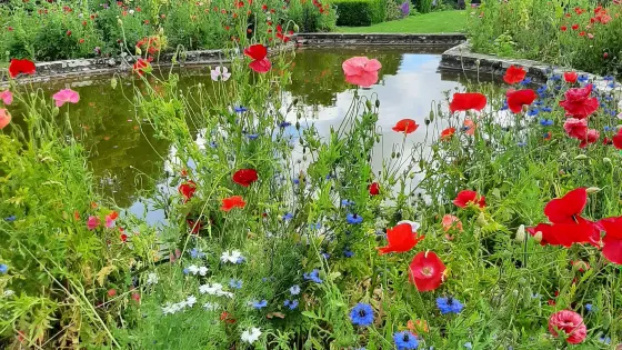 Doddington Place Gardens