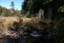 Cascade Falls景点图片