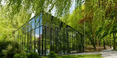 Skulpturenpark Waldfrieden