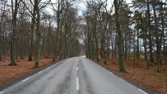 Sigurdsristningen
