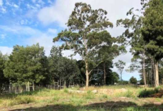 Garden Route Wolf Sanctuary景点图片