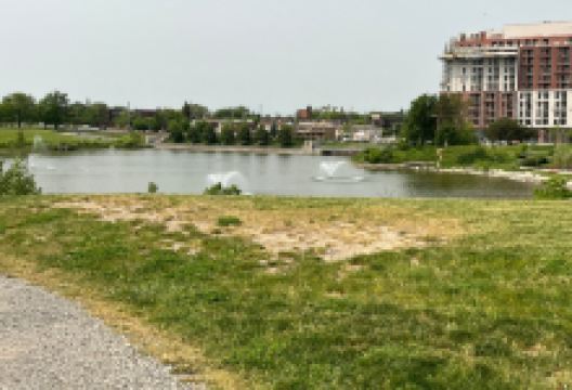 唐士维公园景点图片