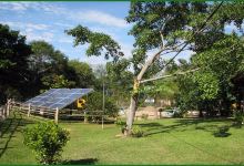 Parque Ambiental dos Sabiás景点图片
