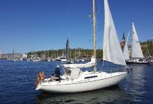 Historischer Hafen景点图片