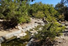 Hopkins Wilderness Park景点图片