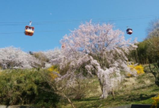 The road to the Giants景点图片