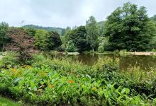 Botanical Garden Bečov nad Teplou景点图片