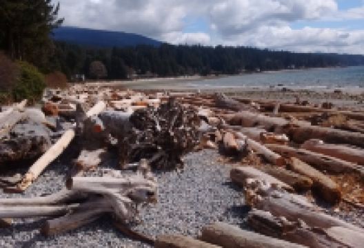Roberts Creek Pier景点图片