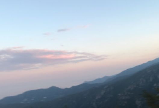 La Foresta di Faggi della Barbottina景点图片