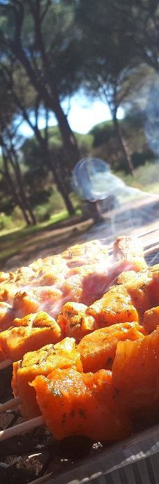 El Pinar del Rey-圣罗克