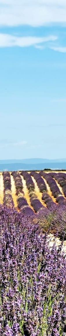 瓦朗索尔高原-瓦朗索勒