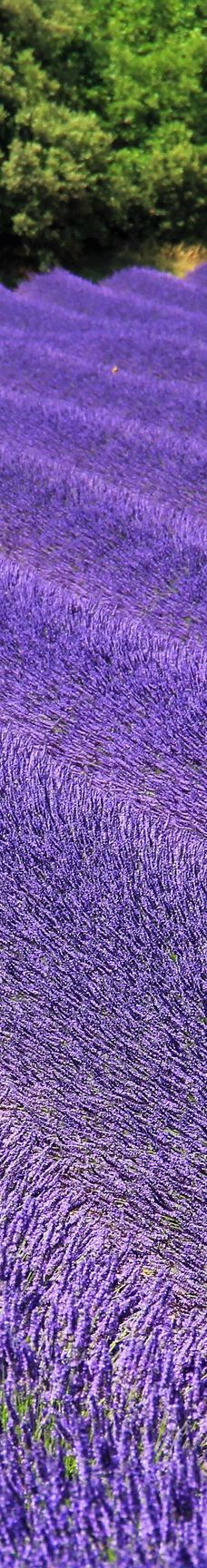 瓦朗索尔高原-瓦朗索勒