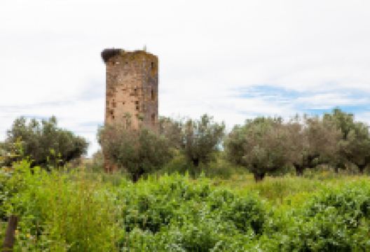 Torre de Val-Boim景点图片