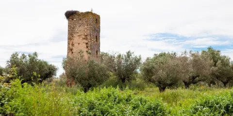 Torre de Val-Boim
