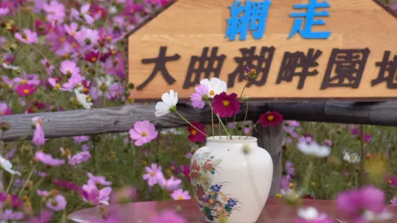 大麴湖畔園地