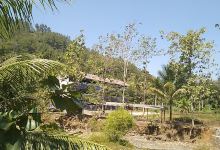 masjid al amin wanayasa景点图片
