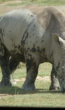 Adventure Africa Expedition-内罗毕