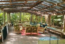 Jungle In Willunga景点图片