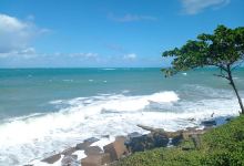 Playa la Ermita景点图片