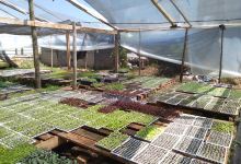 Punto Verde购物图片