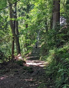 Kinbo Shrine-仁贺保市