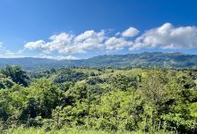 Taino Valley Tropical Park景点图片
