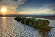 Aberlady Local Nature Reserve景点图片