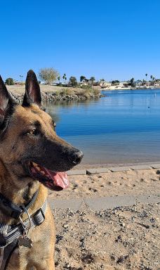 Big Bend of the Colorado-拉芙琳
