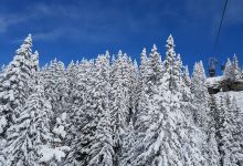 Arena Express Scansinas景点图片