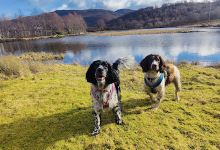 Braemar Pond景点图片