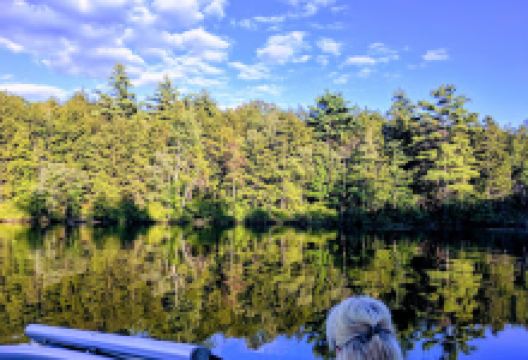 Lake Warren景点图片