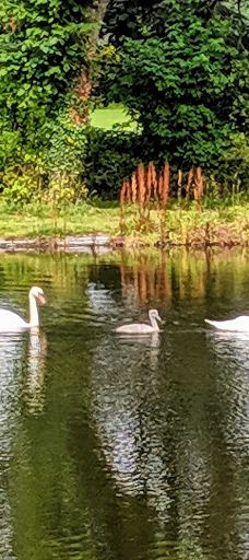 维多利亚公园-贝尔法斯特